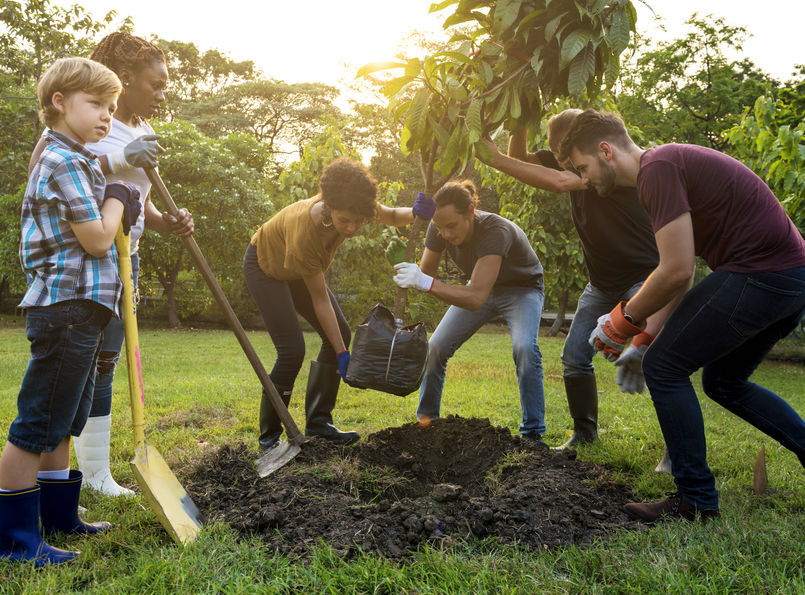 Citizens Planting Tree