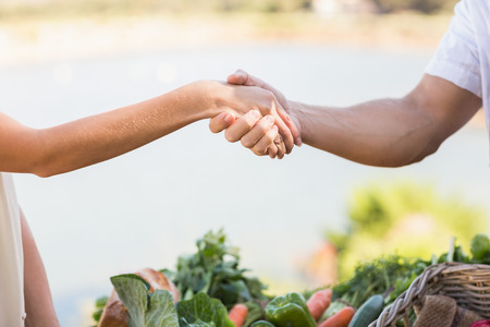 Handshake Greeting