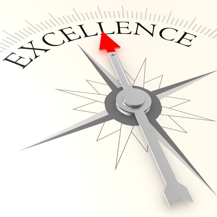 Excellence Meter